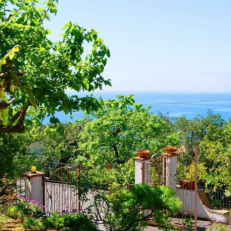 B&B La Casa Del Gelso アックアフレッダ エクステリア 写真