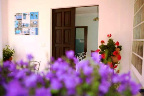 B&B La Casa Del Gelso アックアフレッダ エクステリア 写真