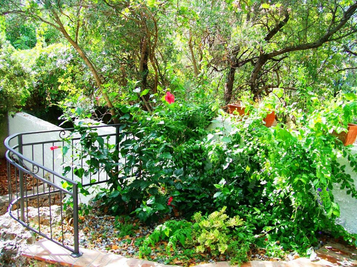 B&B La Casa Del Gelso アックアフレッダ エクステリア 写真