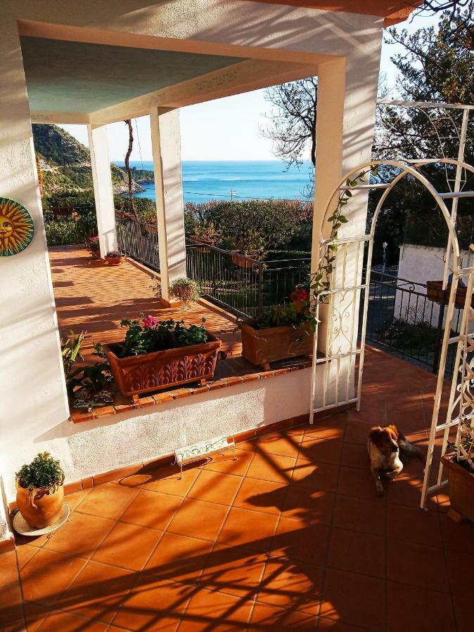 B&B La Casa Del Gelso アックアフレッダ エクステリア 写真