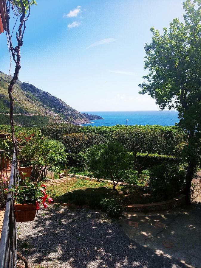 B&B La Casa Del Gelso アックアフレッダ エクステリア 写真