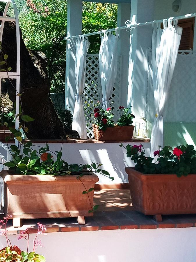 B&B La Casa Del Gelso アックアフレッダ エクステリア 写真